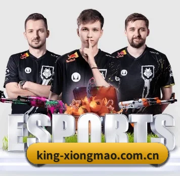 king-xiongmao.com.cn APP 界面